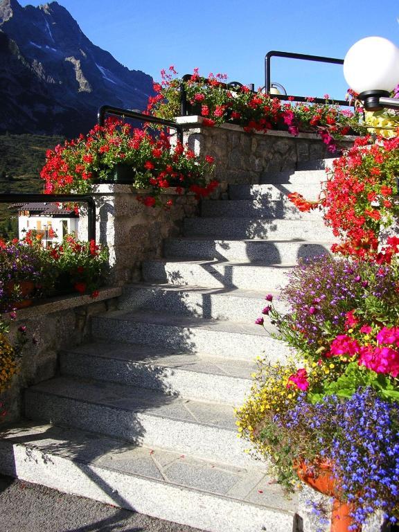 Hotel Orchidea Passo del Tonale Esterno foto
